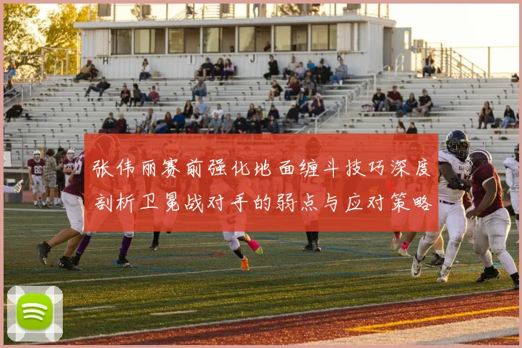 张伟丽赛前强化地面缠斗技巧深度剖析卫冕战对手的弱点与应对策略