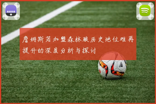 詹姆斯若加盟森林狼历史地位难再提升的深度分析与探讨